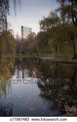 Stock Image - Pond in Boston, Massachusetts, USA. Fotosearch