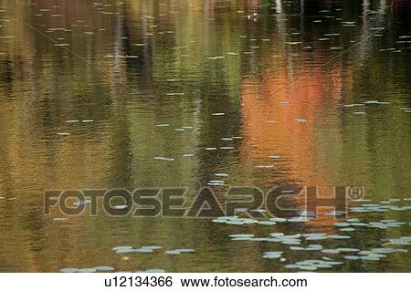 Stock Photograph - Reflections in a Pond in The Hamptons. Fotosearch