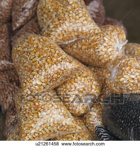 San Ignacio, Bags of Beans View Large Photo Image Stock Photo - San Ignacio, Bags of Beans. Fotosearch