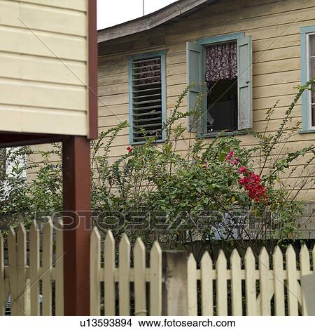 San Ignacio, House View Large Photo Image Picture - San Ignacio, House. Fotosearch