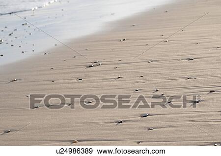 Stock Photo - Sand and rocks along Hampton seashore. Fotosearch