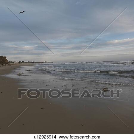 Picture - Seascape along shoreline at The Hamptons, New York. Fotosearch