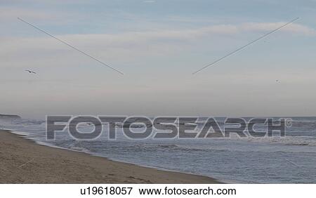 Stock Photo - Seascape along shoreline at The Hamptons, New York. Fotosearch