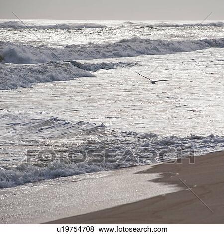 Seascape along shoreline at The Hamptons, New York View Large Photo Image Stock Photo - Seascape along shoreline at The Hamptons, New York. Fotosearch