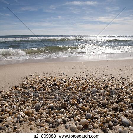 Stock Image - Seashore along Hamptons coastline. Fotosearch