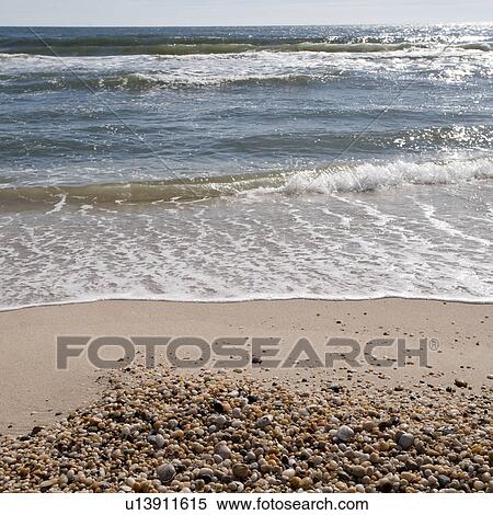 Seashore along the Hamptons coastline View Large Photo Image Stock Photography - Seashore along the Hamptons coastline. Fotosearch