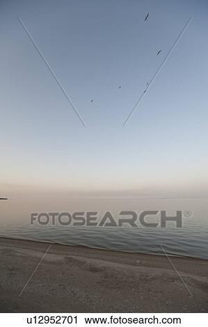Stock Image - Shoreline of Lake Winnipeg in Gimli, Manitoba, Canada. Fotosearch
