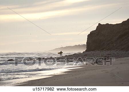 Stock Image - Surfer along the Hampton coastline. Fotosearch