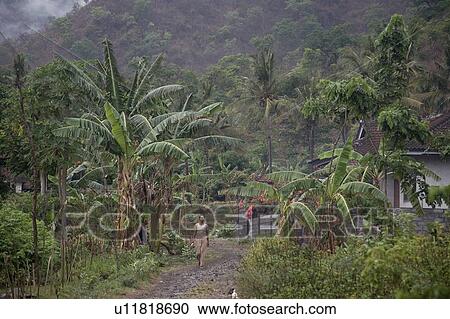 Woman walking down pathway in Bali View Large Photo Image Stock Image - Woman walking down pathway in Bali. Fotosearch