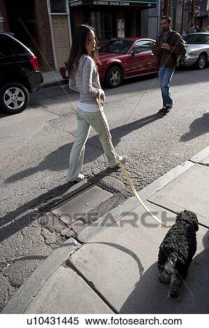 Woman walking her dog in Boston, Massachusetts, USA View Large Photo Image Stock Photography - Woman walking her dog in Boston, Massachusetts, USA. Fotosearch