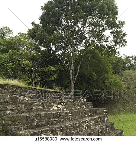 Xunantunich, Temple View Large Photo Image Stock Image - Xunantunich, Temple. Fotosearch