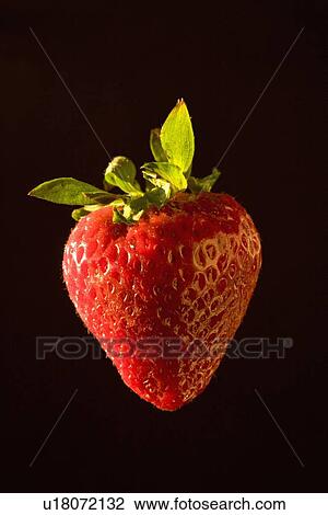 Stock Image - A Strawberry. Fotosearch