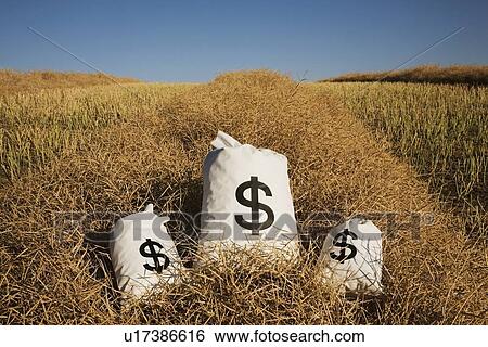 Stock Photograph - edmonton, alberta, canada; bags of money on a farm field. Fotosearch