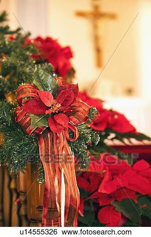 edmonton, alberta, canada; christmas garland with poinsettias on a wooden railing View Large Photo Image Stock Photograph - edmonton, alberta, canada; christmas garland with poinsettias on a wooden railing. Fotosearch