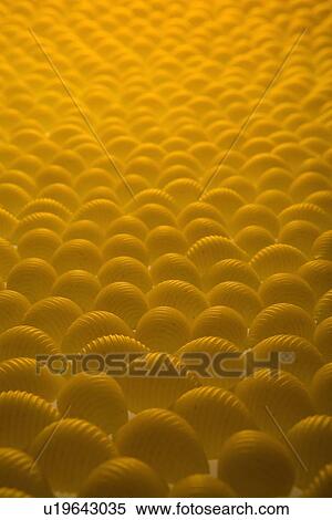 Pasta Shells View Large Photo Image Stock Photography - Pasta Shells. Fotosearch