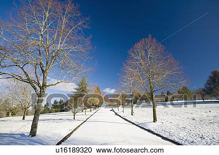Portland, Oregon, United States Of America; Trees Lining A Snow Covered Road View Large Photo Image Stock Image - Portland, Oregon, United States Of America; Trees Lining A Snow Covered Road. Fotosearch