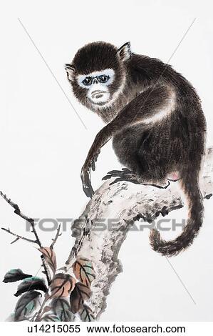 中国語 美術 伝統的である 中国語 絵 猿の年 ストックフォト 写真素材 U Fotosearch