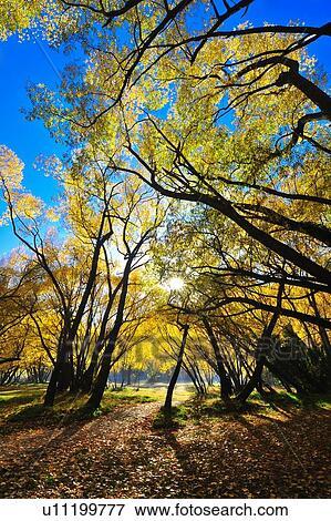 Arrowtown, South Island New Zealand View Large Photo Image Stock Photo - Arrowtown, South Island New Zealand. Fotosearch
