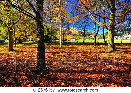 Arrowtown, South Island New Zealand View Large Photo Image Stock Photo - Arrowtown, South Island New Zealand. Fotosearch