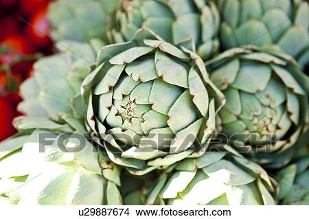 Artichoke in the market of Nice, France View Large Photo Image Picture - Artichoke in the market of Nice, France. Fotosearch