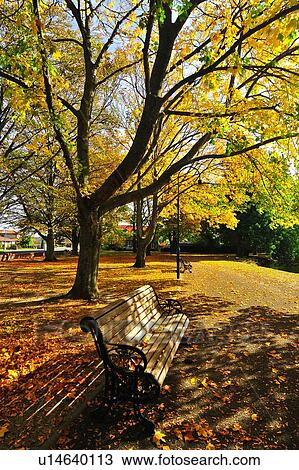 Ashburton Domain, South Island New Zealand View Large Photo Image Stock Image - Ashburton Domain, South Island New Zealand. Fotosearch
