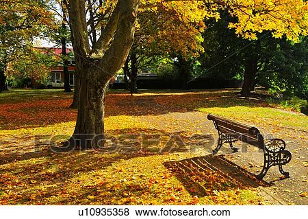 Stock Photo - Ashburton Domain, South Island New Zealand. Fotosearch