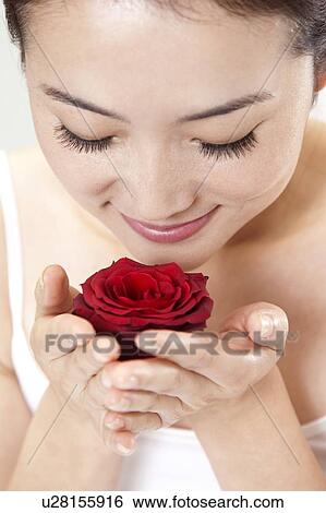Beauty Treatment, Close-up of woman smelling a red rose with smile View Large Photo Image Stock Photograph - Beauty Treatment, Close-up of woman smelling a red rose with smile. Fotosearch