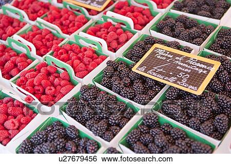 Stock Photograph - Blackberry, Raspberry. Fotosearch