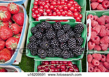 Stock Image - Blueberry in the market. Fotosearch
