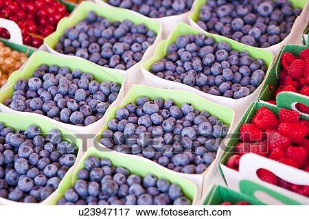 Blueberry in the market View Large Photo Image Stock Photo - Blueberry in the market. Fotosearch