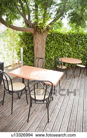Picture - Chair and table under a tree. Fotosearch