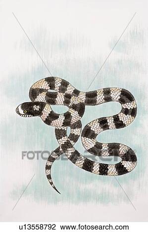 Chinese Fine art, Traditional Chinese Painting, Year Of The Snake View Large Photo Image Stock Image - Chinese Fine art, Traditional Chinese Painting, Year Of The Snake. Fotosearch