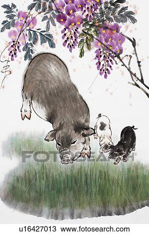 Stock Image - Chinese Fine art, Traditional Chinese Painting, Year Of The Pig. Fotosearch