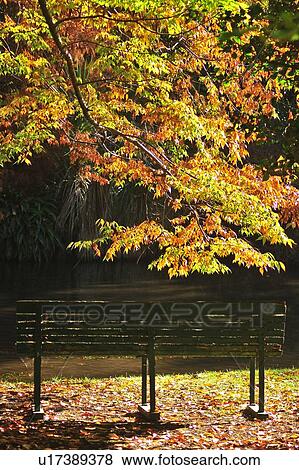 Stock Photo - Christchurch, Botanical Garden, South Island New Zealand. Fotosearch