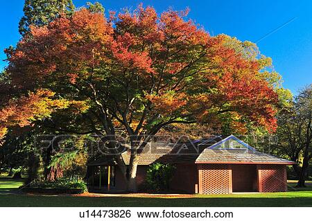 Stock Photograph - Christchurch, Botanical Garden, South Island New Zealand. Fotosearch