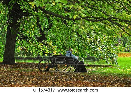 Stock Photo - Christchurch, Hagley Park, South Island New Zealand. Fotosearch