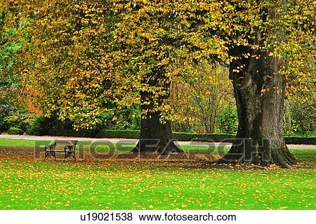 Christchurch, Hagley Park, South Island New Zealand View Large Photo Image Stock Photo - Christchurch, Hagley Park, South Island New Zealand. Fotosearch