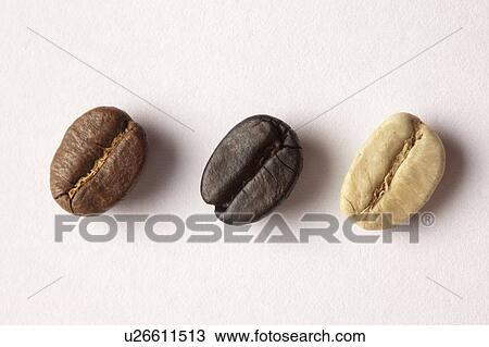 Coffee Bean, Close-up of three coffee beans with different colors View Large Photo Image Stock Image - Coffee Bean, Close-up of three coffee beans with different colors. Fotosearch