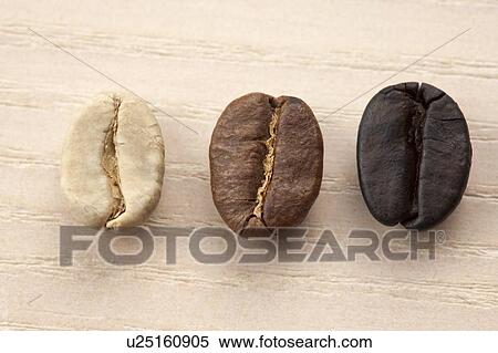 Coffee Bean, Close-up of three coffee beans on the table with different colors View Large Photo Image Stock Photography - Coffee Bean, Close-up of three coffee beans on the table with different colors. Fotosearch