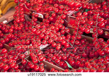 Stock Photography - Cranberry in the market of Nice, France. Fotosearch