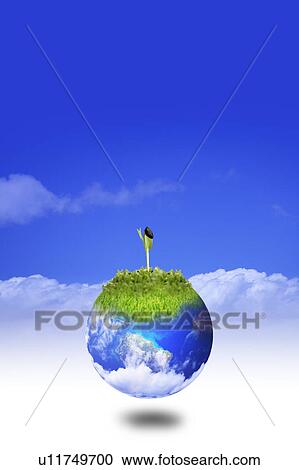 Environmental Conservation, Digitally generated image of seedling on the earth with blue sky in background View Large Photo Image Stock Image - Environmental Conservation, Digitally generated image of seedling on the earth with blue sky in background. Fotosearch