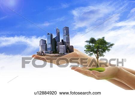 Environmental Conservation, Digitally generated image of human hands holding a tree and buildings with blue sky in background View Large Photo Image Stock Image - Environmental Conservation, Digitally generated image of human hands holding a tree and buildings with blue sky in background. Fotosearch