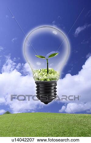Stock Photo - Environmental Conservation, Digitally generated image of a seedling in a light bulb with blue sky in background. Fotosearch