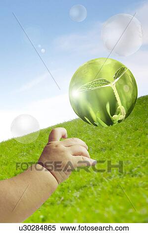 Environmental Conservation, Digitally generated image of a baby hand and a bubble with seedling View Large Photo Image Stock Photography - Environmental Conservation, Digitally generated image of a baby hand and a bubble with seedling. Fotosearch