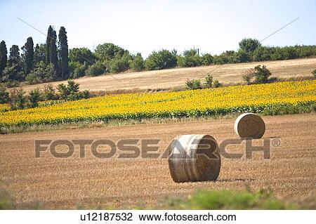Stock Image - France, Carcassonne, Haystack. Fotosearch
