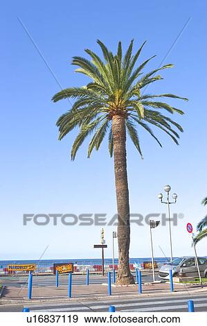 Stock Photo - France, Nice, beautiful coastline. Fotosearch