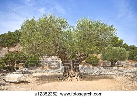 Stock Image - France, scenery. Fotosearch