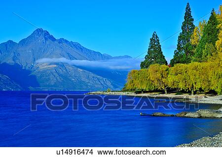 Lake Wakatipu, South Island New Zealand View Large Photo Image Picture - Lake Wakatipu, South Island New Zealand. Fotosearch