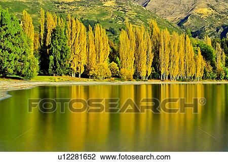 Lake Wanaka, South Island New Zealand View Large Photo Image Stock Image - Lake Wanaka, South Island New Zealand. Fotosearch