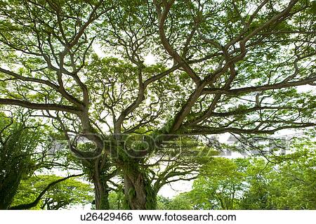 Stock Photograph - Malaysia, Melaka State. Fotosearch